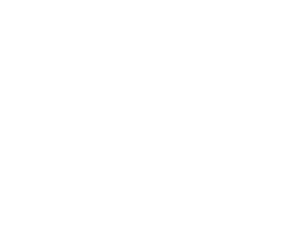 ReelFoundry